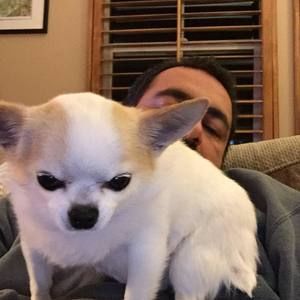 Meet your Posher, Allen